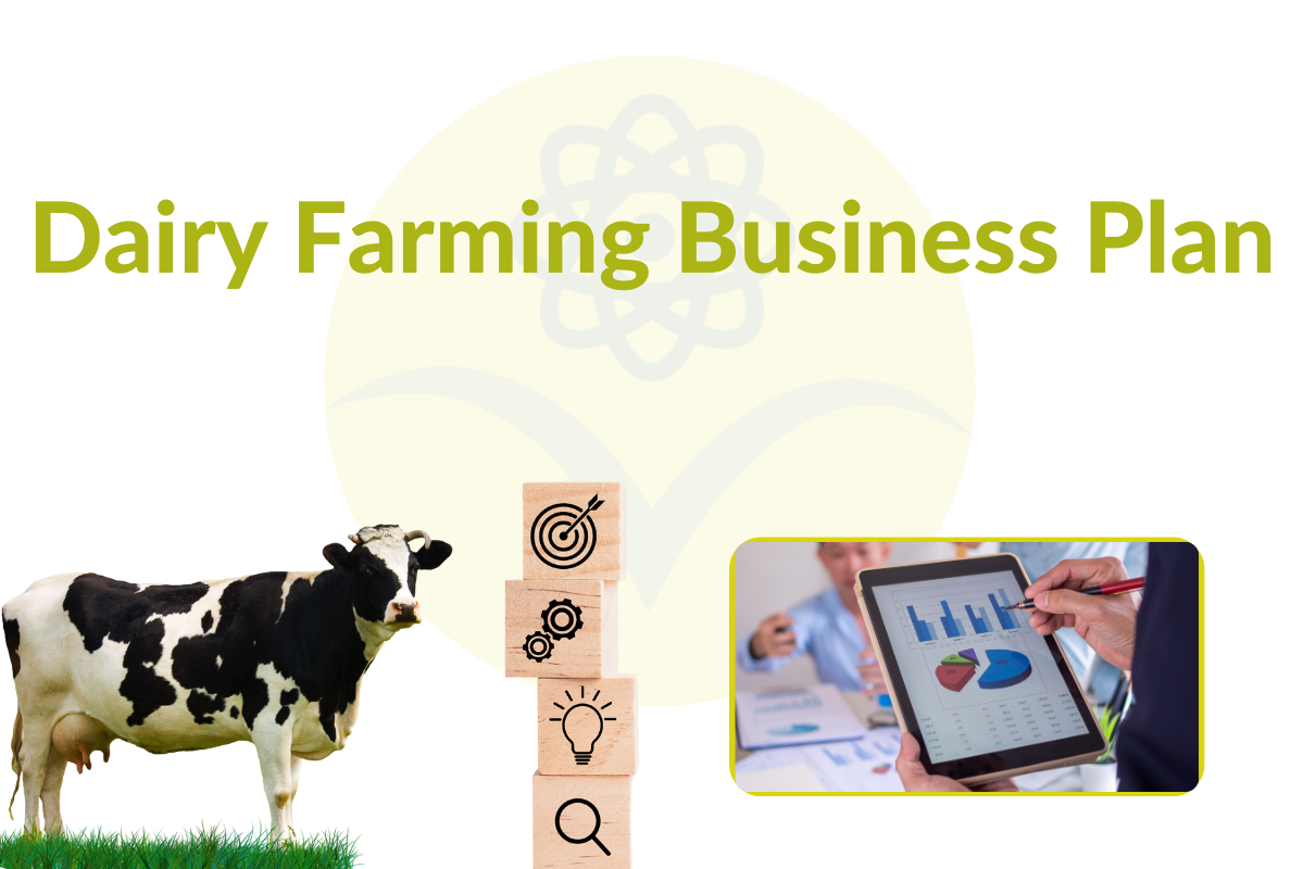 Dairy-Farming-Business-Plan