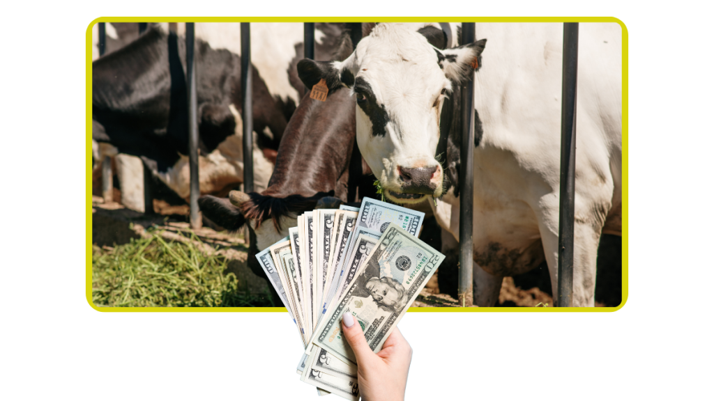 Dairy-Farming-Profitability