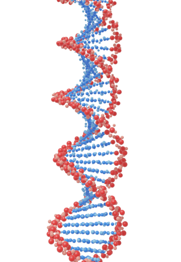 Ozoic-BioTechnology